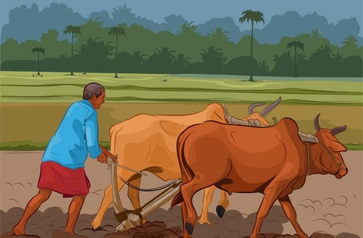 माचागोरा का पानी नही मिलने से किसान परेशान