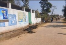 महिलाओ को रोगायो के नाम पर दिया गाॅव की नाली सफाई का काम