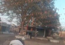 अतिक्रमणकारियो के अतिक्रमण पर अब देखना बाकी है कि कब चलता है बुलडोजर