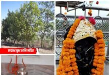 शनिधाम में शनि जयंती २७ मई को आयोजित होंंगे विविध आयोजन