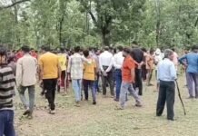 फिर हुई बाघ के हमले से युवक की मौत