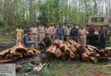 अवैध रूप से रखे गये सागौन वनोपज 66 नग 1.191 धन.मी, एवं प्रयुक्त औजार जप्त