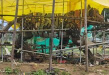 जिले में बन रही विश्व की सबसे उॅची बाघ की प्रतिमा