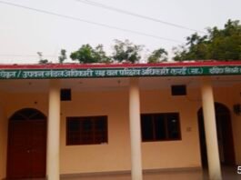 जानवरो को चराने जंगल गए व्यक्ति के उपर बाघ ने किया हमला