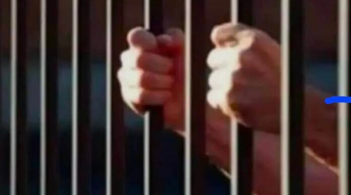 Screenshot_20251113_222755