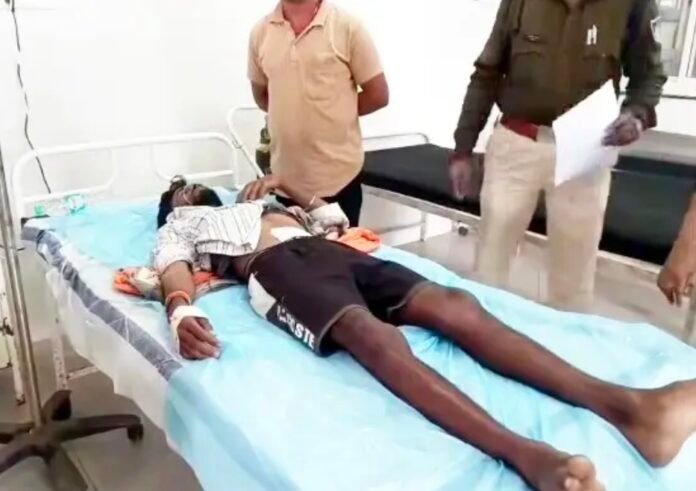 Screenshot_20251119_214037