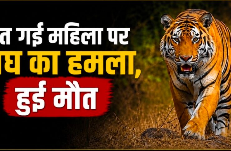 बरघाट में खेत गई महिला पर बाघ ने किया हमला महिला की हुई मौत