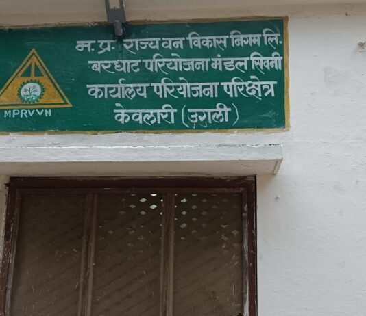 आखिर कौन करवा रहा केवलारी क्षेत्र में सागौन की तस्करी