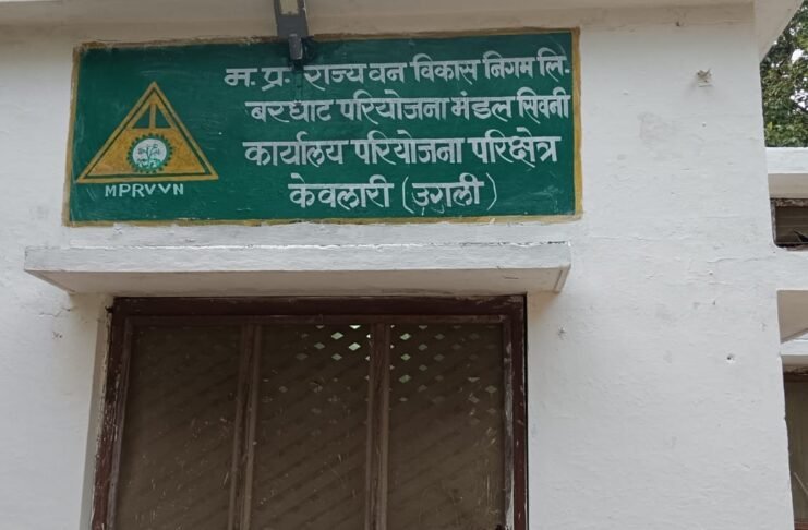 आखिर कौन करवा रहा केवलारी क्षेत्र में सागौन की तस्करी